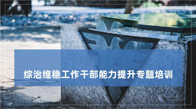 综治维稳工作干部能力提升培训专题